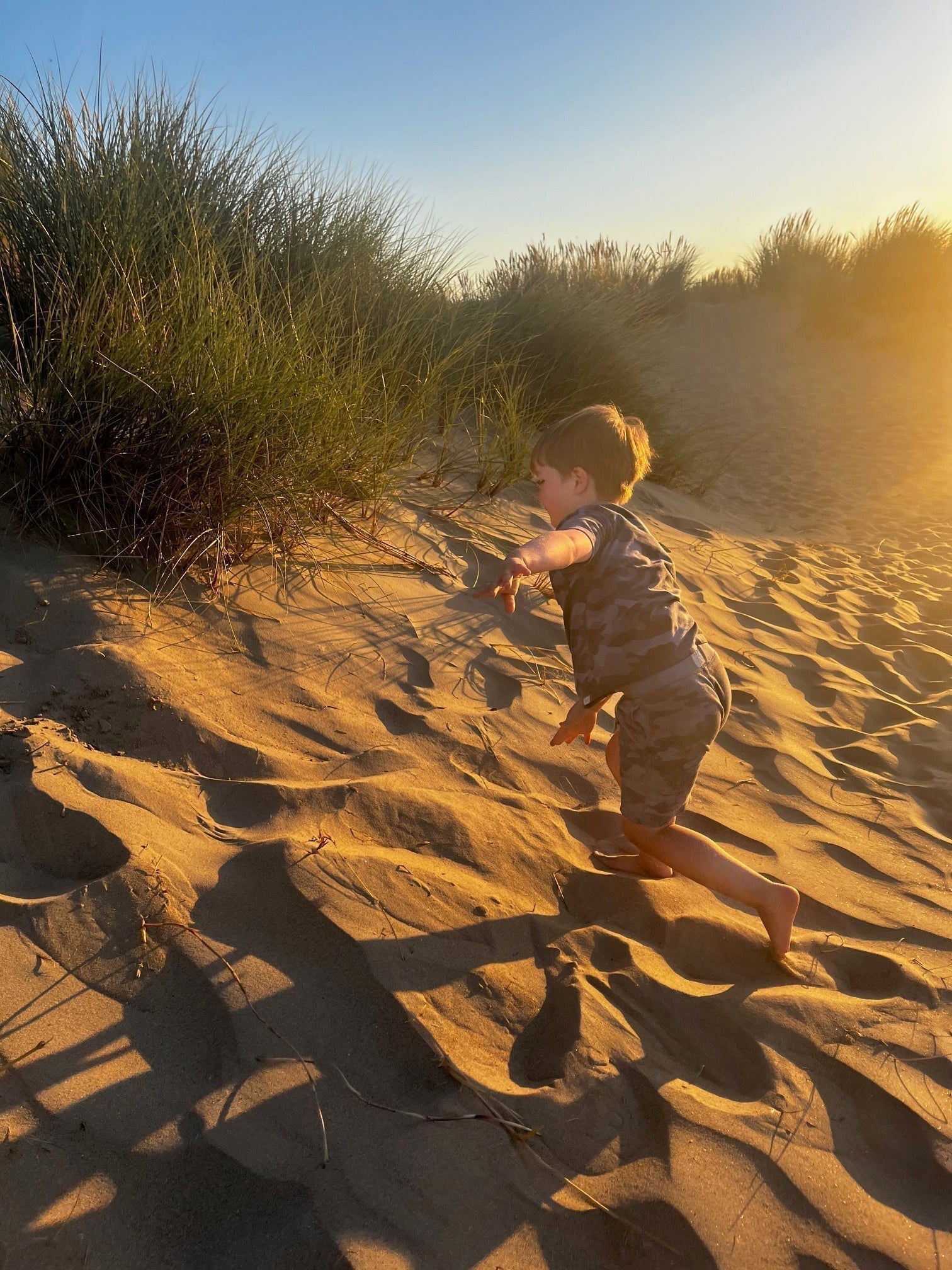 Founder story:  Why Brightland